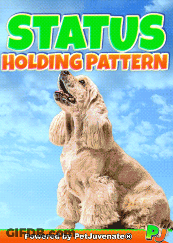 Cocker Spaniel Status Holding Pattern GIF