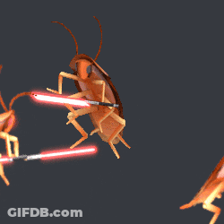 Cockroach Being Hit By Light GIF