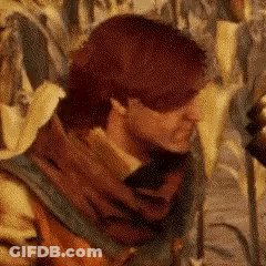 Cockroach Being Hit By Light GIF