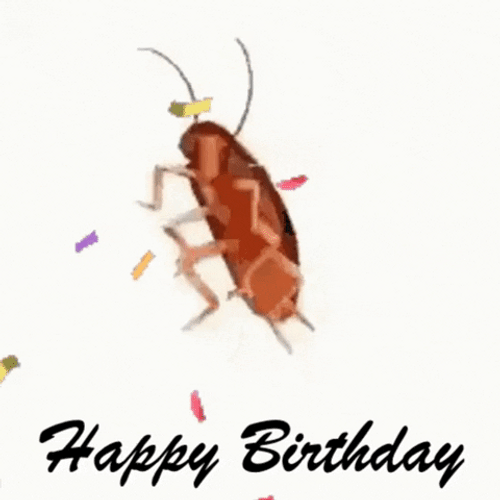Cockroach Funny Happy Birthday GIF