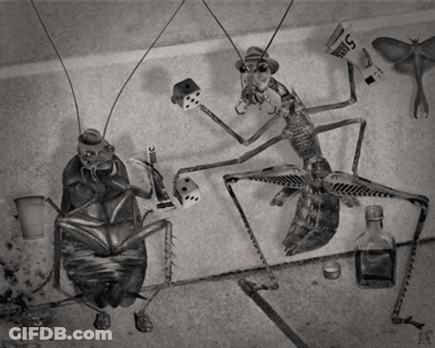 Cockroach Gambling Animation GIF