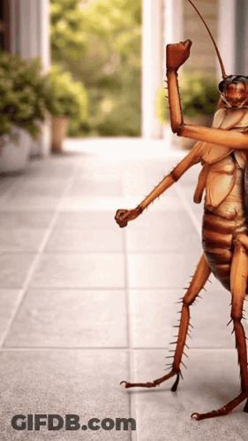 Cockroach Giving Thumbs Up On Tiled Floor GIF