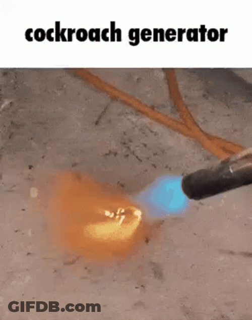 Cockroach Got Torched GIF