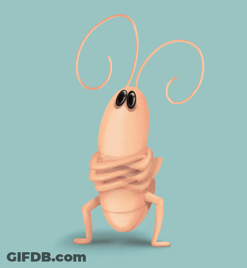 Cockroach Russian Dance GIF