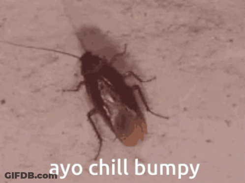 Cockroach Saying Ayo Chill Bumpy GIF