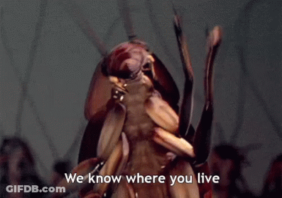 Cockroach Saying We Know Where You Live GIF
