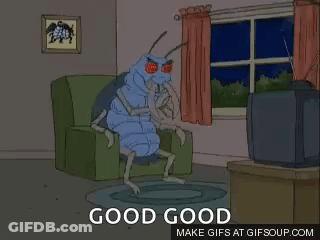 Cockroach Sitting On Couch Watching TV Good Good GIF