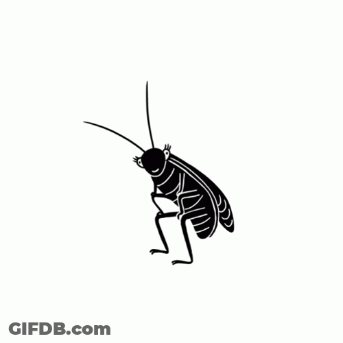 Cockroach Sketch Twerking GIF