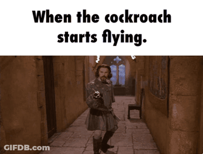 Cockroach Starts Flying Meme GIF