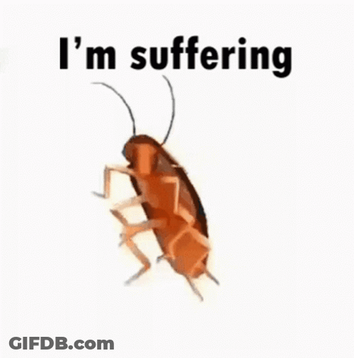 Cockroach Suffering From Spin GIF