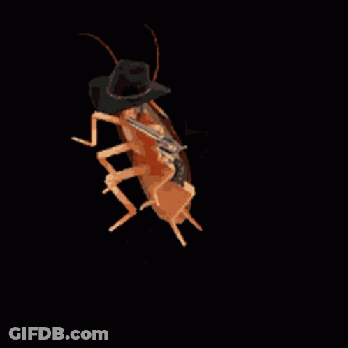Cockroach With Gun On Its Back GIF
