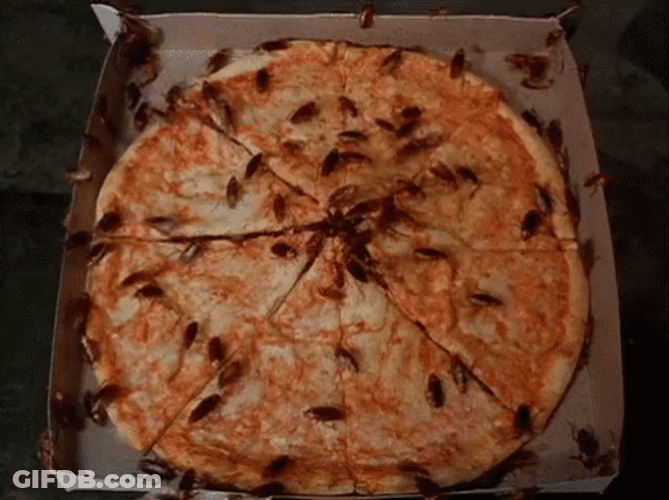 Cockroaches On A Pizza GIF