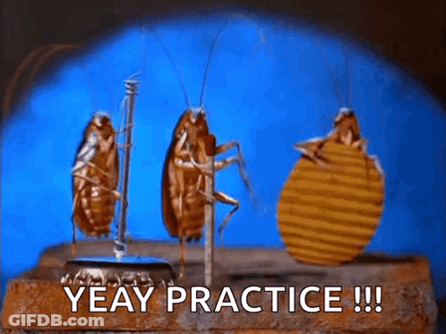 Cockroaches Yeay Practice GIF