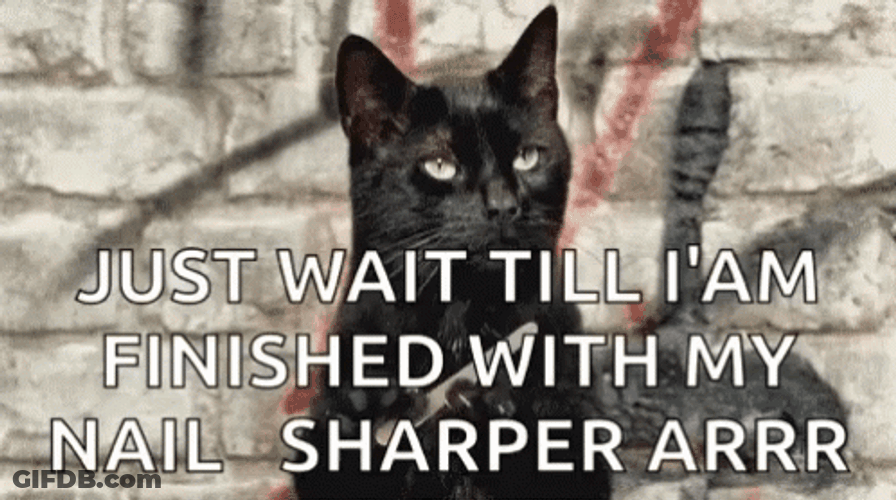 Cocky Cat Nail File Warning Meme GIF