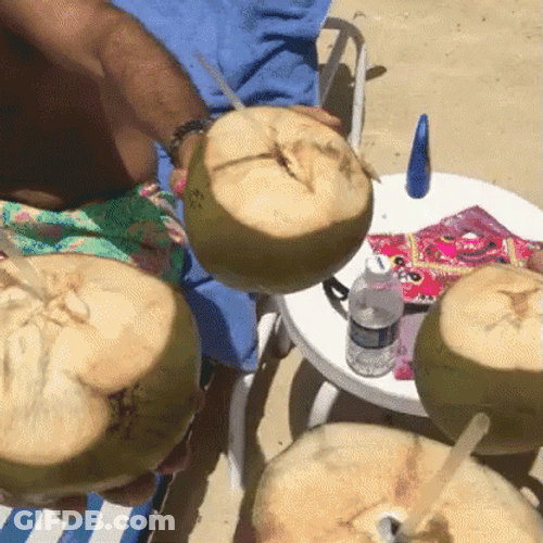 Coco Cheers Tropics GIF