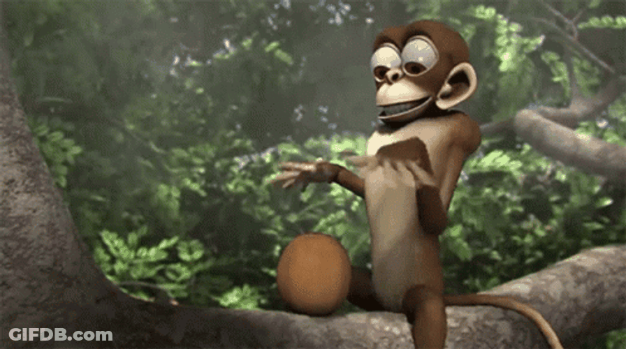 Coco Monkey Muy Loco GIF