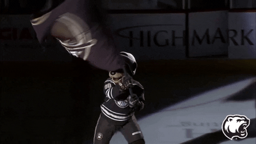 Coco The Bear Waving Flag GIF