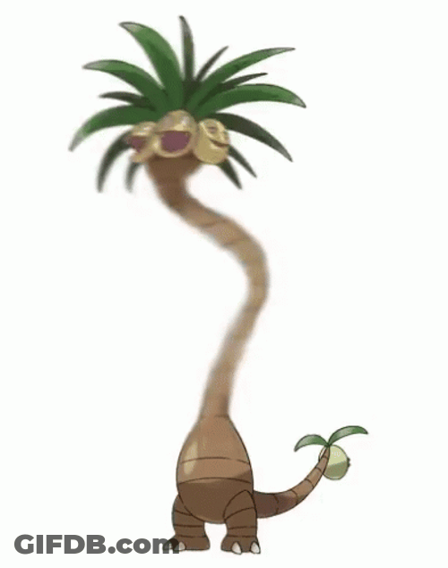 Coconut Tree Animal GIF