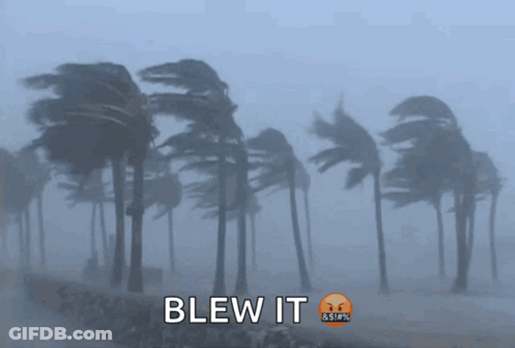 Coconut Tree Blew It GIF