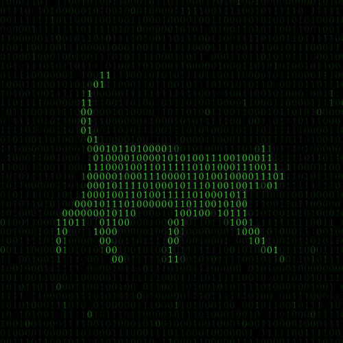 Coding Walking Cat GIF