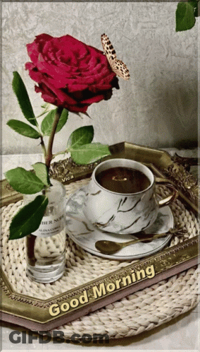 Coffee And Rose On Tray Saying Good Morning GIF