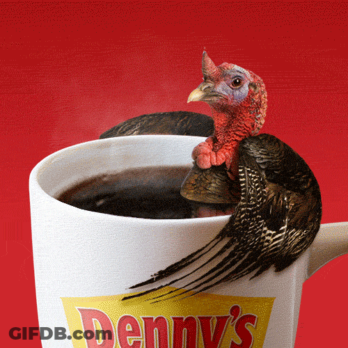 Coffee Bath Turkey Meme GIF
