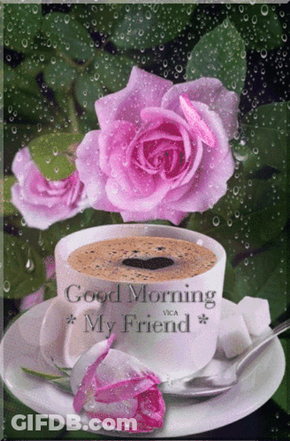 Coffee Cup And Pink Rose Good Morning GIF