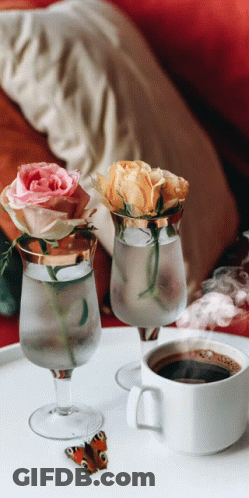 Coffee Cup And Two Water Glasses With Flowers GIF