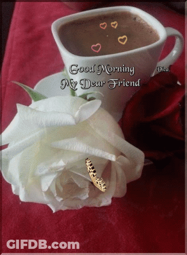 Coffee Cup And White Rose Saying Good Morning My Dear Friend GIF