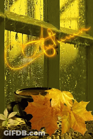 Coffee Cup By Rainy Window GIF