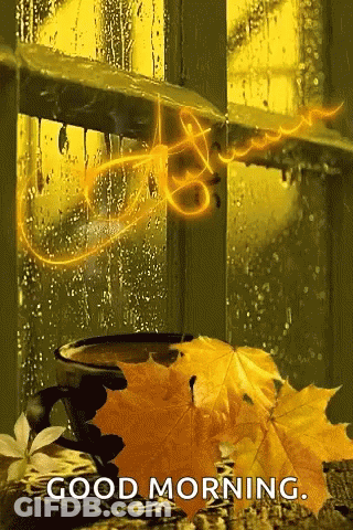 Coffee Cup By Rainy Window With Leaves GIF