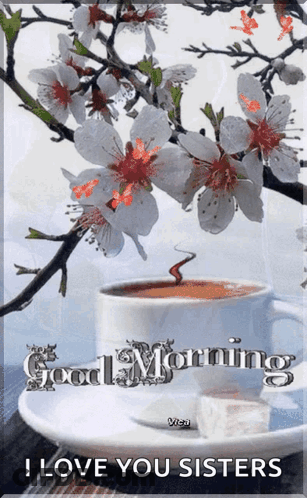 Coffee Cup Good Morning I Love You Sisters GIF