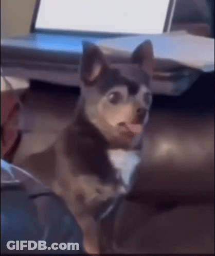 Coffee Cup Hello Hump Day GIF