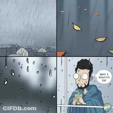 Coffee Cup In Front Of Rainy Window With Leaves GIF
