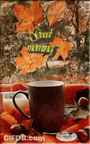 Coffee Cup In Front Of Window With Autumn Leaves Good Morning GIF