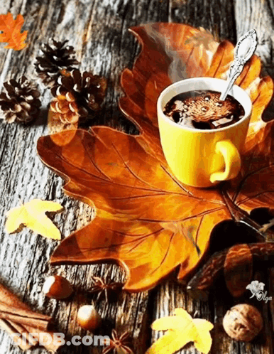 Coffee Cup On Maple Leaf GIF