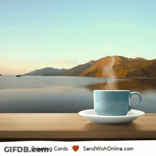 Coffee Cup On Saucer In Nature GIF
