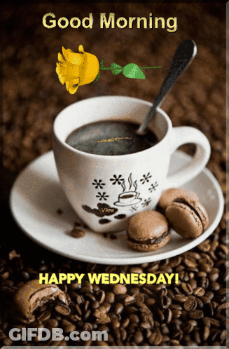 Coffee Cup On Saucer With Beans And Cookies GIF
