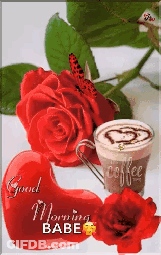 Coffee Cup Red Roses Good Morning Babe GIF