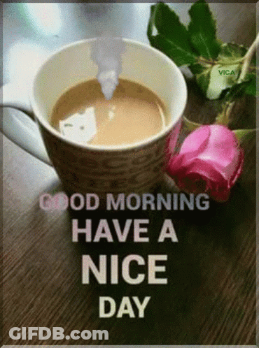 Coffee Cup Rose Good Morning Have A Nice Day GIF