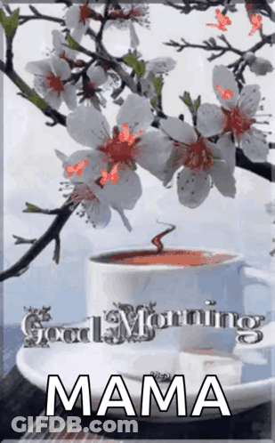 Coffee Cup Saucer Good Morning Mama GIF
