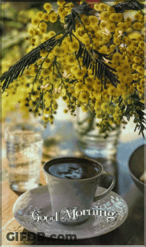 Coffee Cup Saying Good Morning GIF