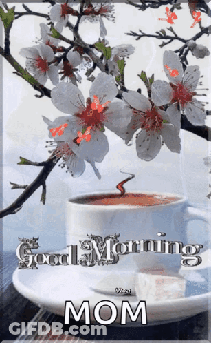 Coffee Cup Saying Good Morning Mom GIF