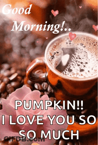 Coffee Cup Saying Good Morning Pumpkin I Love You So Much GIF