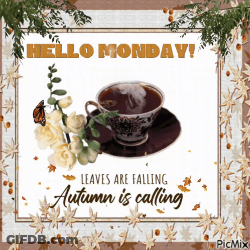 Coffee Cup Saying Hello Monday GIF