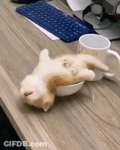 Coffee Cup With Cinnamon Sticks Saying Enjoy Your Coffee GIF