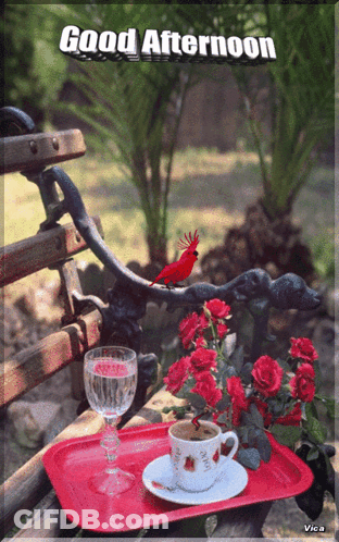Coffee Cup With Have A Wonderful Wednesday GIF
