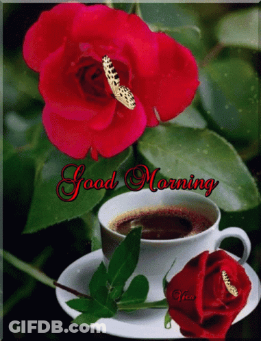 Coffee Cup With Red Rose Good Morning GIF