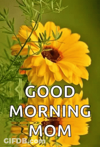 Coffee Cup With Roses Good Morning Mom GIF