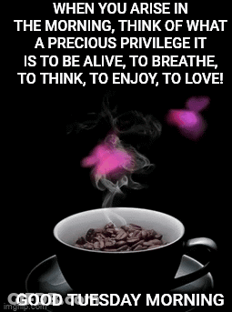 Coffee Cup With Steam Good Tuesday GIF